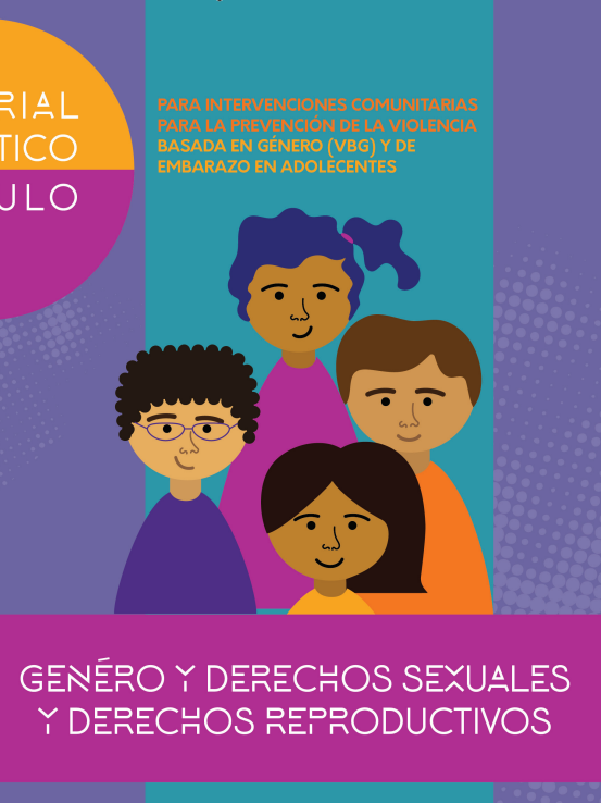 Género Y Derechos Sexuales Y Derechos Reproductivos Repositorio 3690